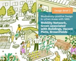Network Nature Design Brief