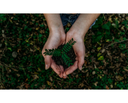 Photo by Noah Buscher on Unsplash