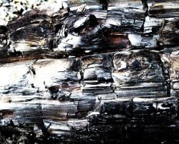 Burned wood