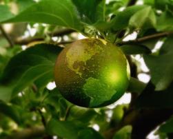 Sustainability, green world