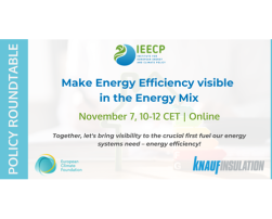 Make Energy Efficiency visible in the Energy Mix
