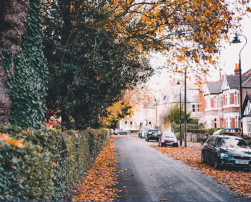 Photo by Nicolas J Leclercq on Unsplash