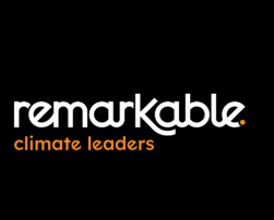 Remarkable project