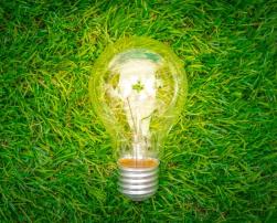 Light bulb on grass, sustainability