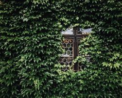 green facade window