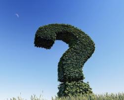 Question mark in grass