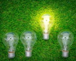 Light bulbs on grass