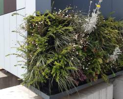 green wall eurac lab
