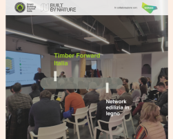 Timber flyer