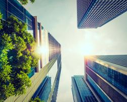 Skyscrapers with green trees and sky