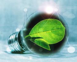 Lightbulb with green leaf