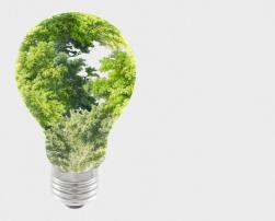 Green light bulb, sustainability