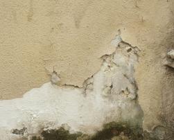 texture humidity wall