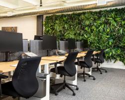 green office wall quality indoor