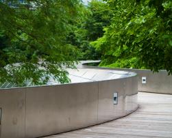 Trees and concrete walls