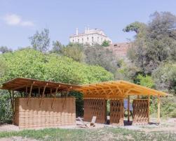 The Earth Forest Campus
