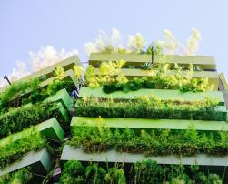 building green facade sustainable