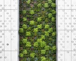 green wall building facade