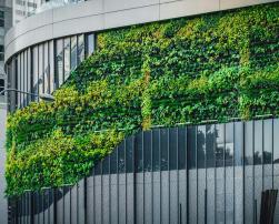 A green facade