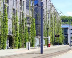 Green architecture