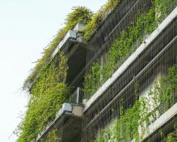 green facade building balconies