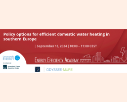 Policy options for efficient domestic water heating in southern Europe