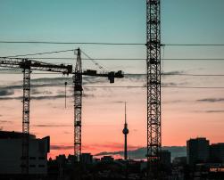 Cranes in Berlin at dawn