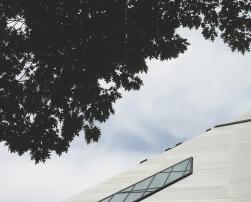 A modern building and a tree