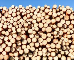 A woodpile