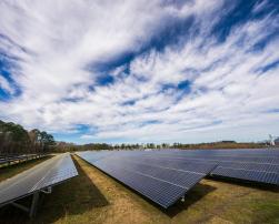 Field of PV panels
