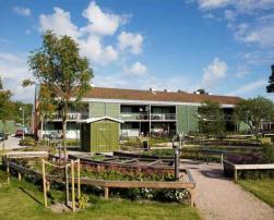A condominium surrounded by green