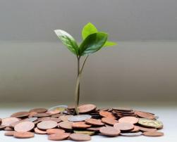 a plant grows from coins