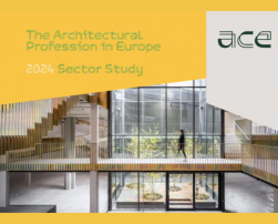 ACE 2024 Sector Study