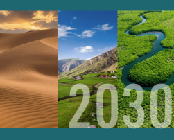 UAE 2030