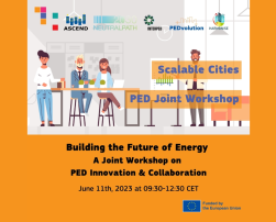 A joint workshop on PED innovation & collaboration