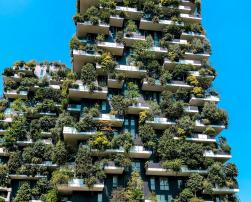 Vertical forest building