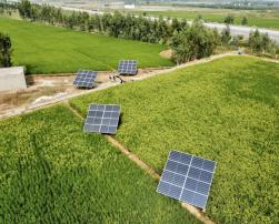 The image shows several solar panels installed in a green field, with trees and a road in the background.