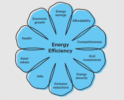 The image shows a blue flower with petals symbolising the benefits of energy efficiency, such as savings, affordability, and competitiveness. At its centre is the text "Energy Efficiency".