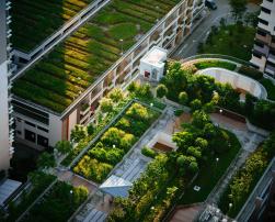 An aerial view of a building complex with rooftop gardens, where vegetation and architectural design promote a sustainable urban environment.
